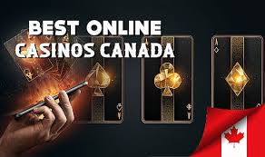 Best Online Casino Ranked Top Picks for 2023